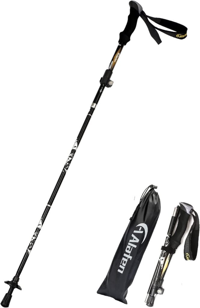 Best Walking Stick for Seniors #8 Best Walking Stick for Seniors #8