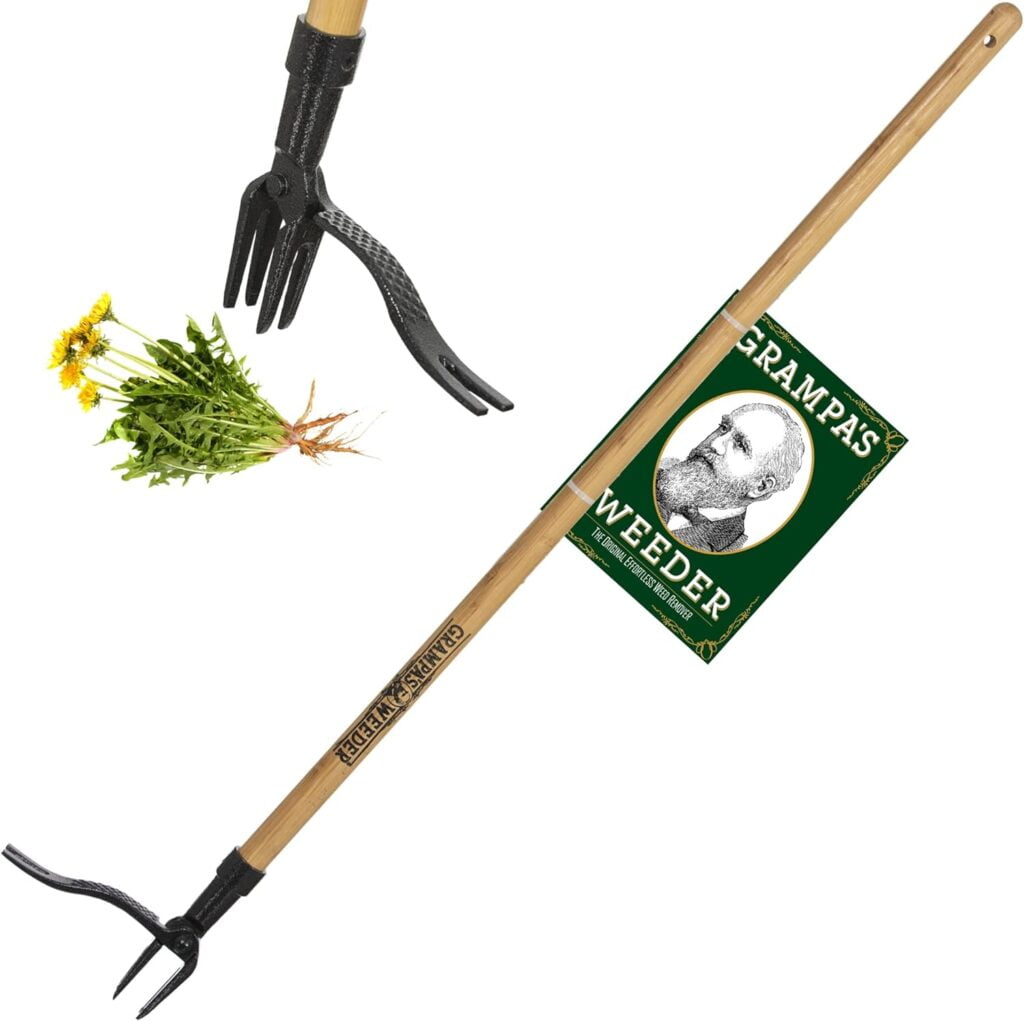 Best Gardening Tools for Seniors: Easy-Grip Weeder Best Gardening Tools for Seniors: Easy-Grip Weeder