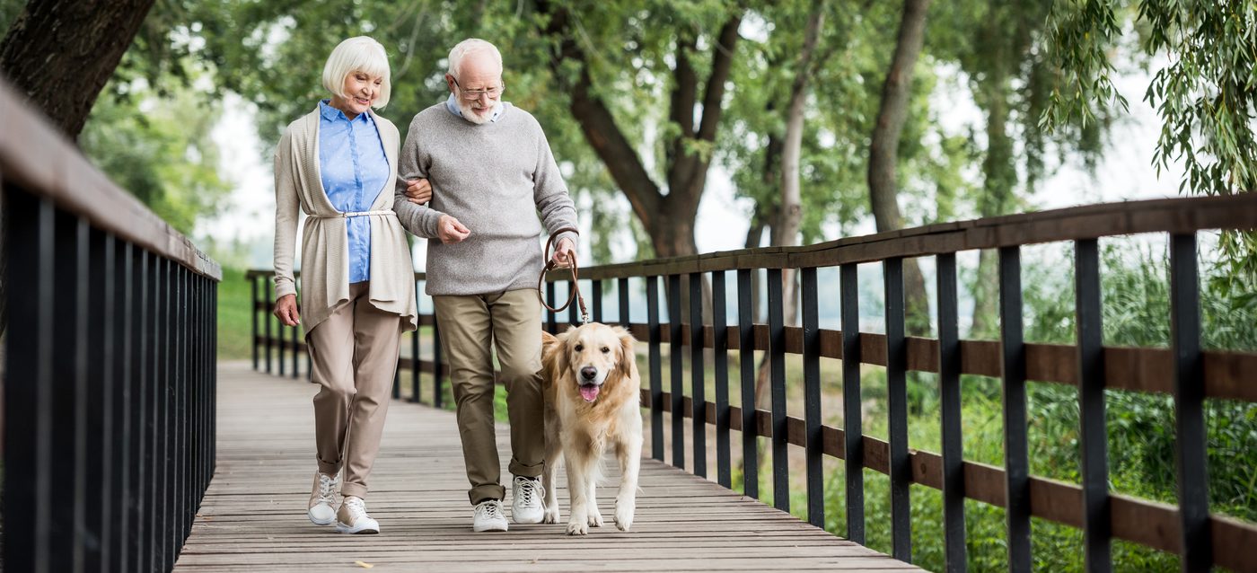 The Perfect Companions: Best Dogs for Seniors